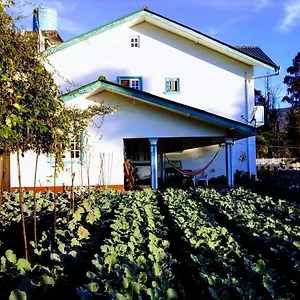 Guest house Vibe Way, Nuwara Eliya